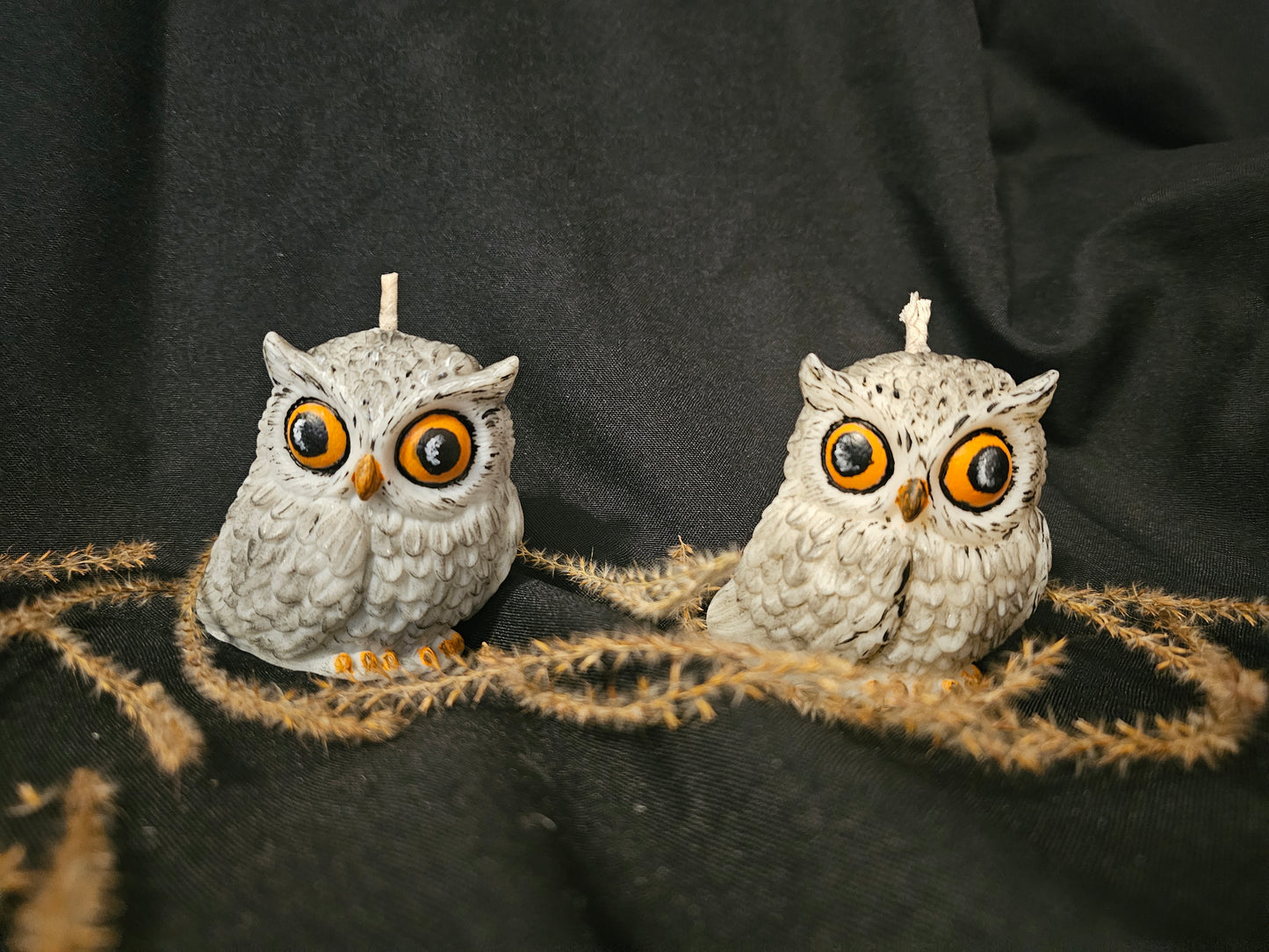 Owl Howl